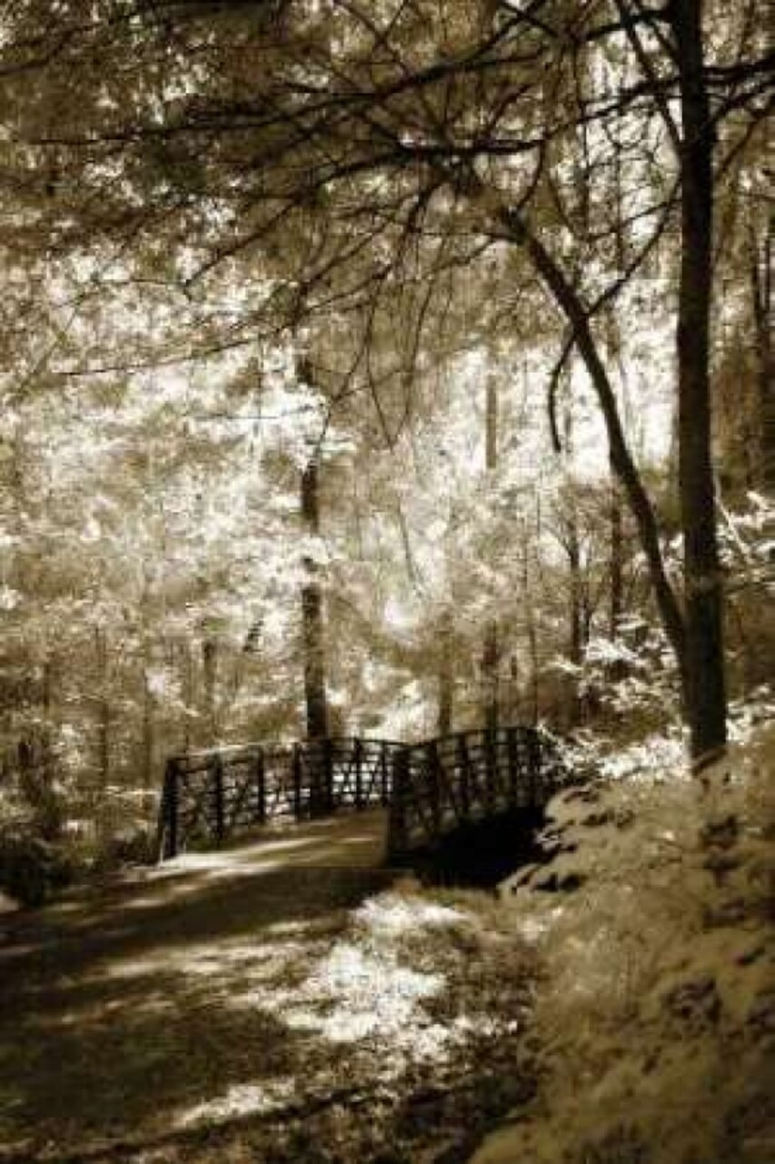 Summer Bridge Poster Print by Alan Hausenflock - Item # VARPDXPSHSF515